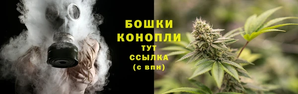 шишки Абдулино