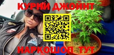 шишки Гусь-Хрустальный