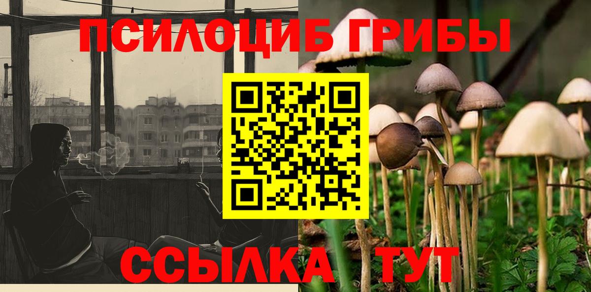 Галлюциногенные грибы прущие грибы Донецк