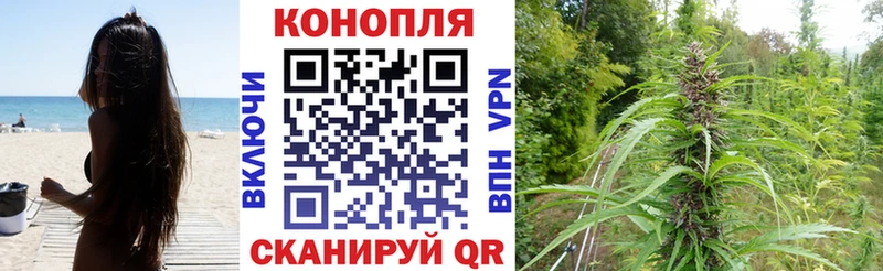 Конопля OG Kush  Донецк 